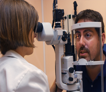 Faceted Search Has Landed